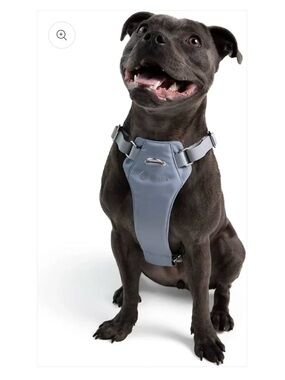 Diggs Dog Harness
